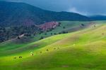 Windows XP